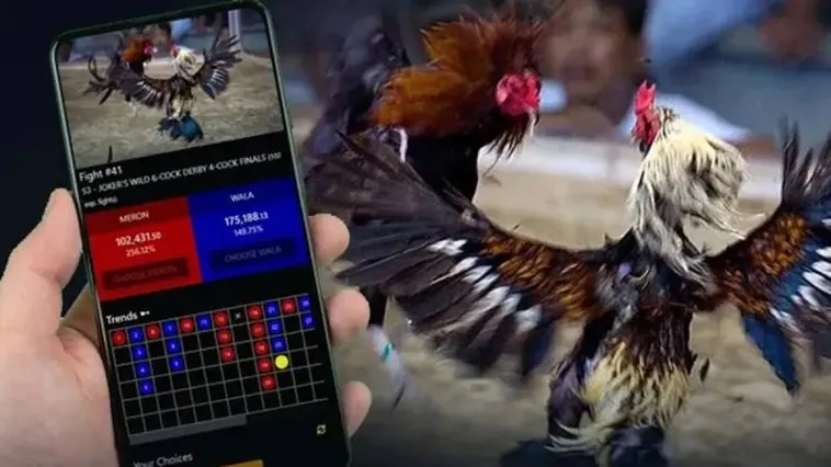 Tuyệt Chiêu Săn Thưởng Đá Gà 9Club Đỉnh Cao Rinh Ngay Tiền Tỷ Về Túi