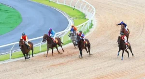 Bí Kíp Tìm Hiểu Cá Cược Đua Ngựa 9Club Thắng Lớn Mỗi Ngày Dành Cho Tân Thủ